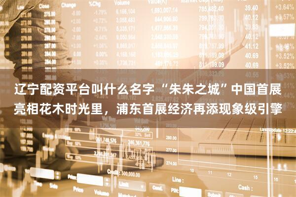 辽宁配资平台叫什么名字 “朱朱之城”中国首展亮相花木时光里，浦东首展经济再添现象级引擎