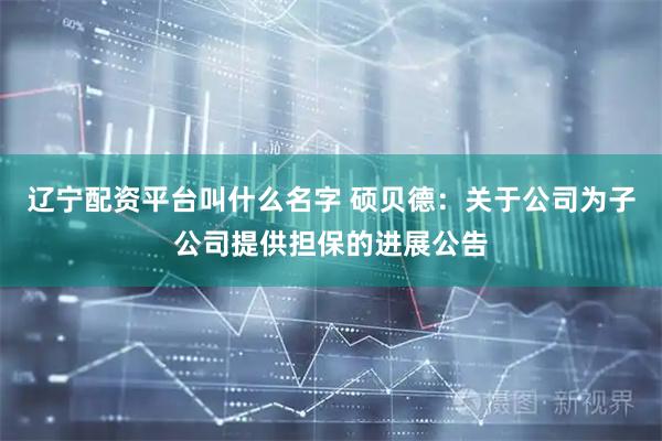 辽宁配资平台叫什么名字 硕贝德：关于公司为子公司提供担保的进展公告