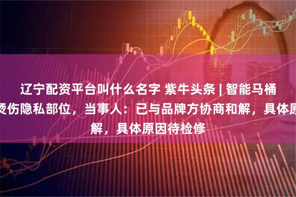 辽宁配资平台叫什么名字 紫牛头条 | 智能马桶突喷开水烫伤隐私部位，当事人：已与品牌方协商和解，具体原因待检修