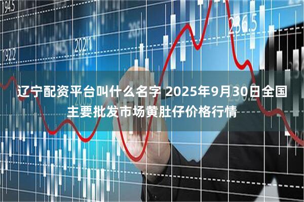 辽宁配资平台叫什么名字 2025年9月30日全国主要批发市场黄肚仔价格行情